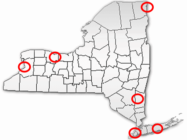 New York State map showing location of authorized providers of Access and Visitation services